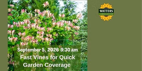 Free Garden Class: Fast Vines for Quick Garden Coverage 