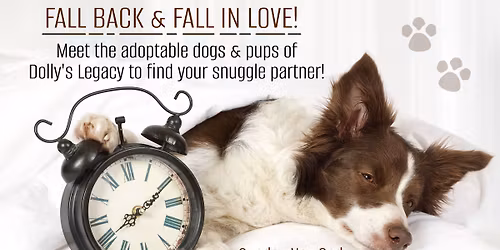 FALL BACK & FALL IN LOVE! Meet & Greet with Dolly's Legacy