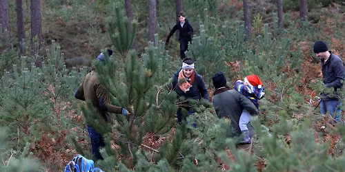 A Dorset Christmas Festival Pull a Pine at RSPB Arne