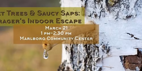 Sweet Trees & Saucy Saps: A Forager's Indoor Escape