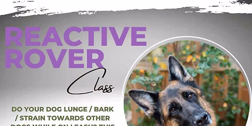 Reactive Rover