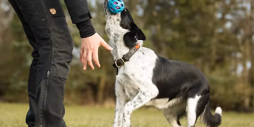 OBSERVAT\u00d8R - Fri ved fod kursus ved Lea Nor den 8 November 10-17