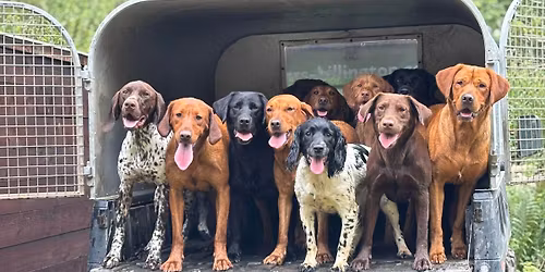 BVA Eye testing clinic 