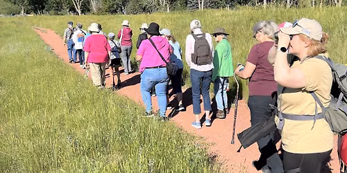Autumn Nature Walking Club