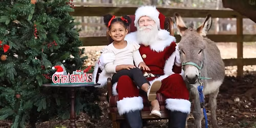 Christmas Pictures on the Farm 11\/22 & 12\/6