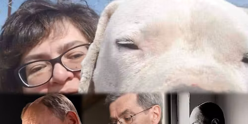 \u0411\u043b\u0430\u0433\u043e\u0442\u0432\u043e\u0440\u0438\u0442\u0435\u043b\u044c\u043d\u044b\u0439 \u0432\u0435\u0447\u0435\u0440 \u0432 \u043f\u043e\u043b\u044c\u0437\u0443 \u0441\u043e\u0431\u0430\u0447\u044c\u0435\u0433\u043e \u043f\u0440\u0438\u044e\u0442\u0430 \u041b\u0435\u043d\u044b \u0411\u0435\u0440\u0435\u0437\u0438\u043d\u043e\u0439