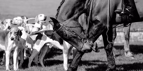 Lead Rein Hound Exercise - Charter Alley
