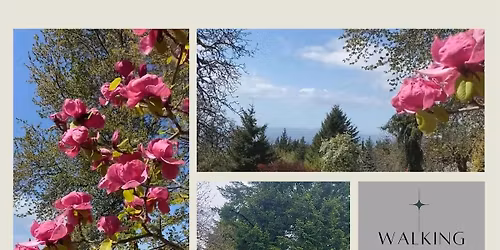 Walking Sound Journey: A Grounded Immersion with Nature, Sound & Presence