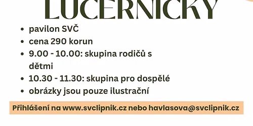 Keramick\u00e1 d\u00edlna: Lucerni\u010dky