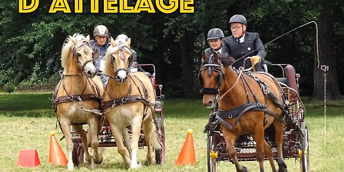 Concours officiel d'attelage de SASSENAGE