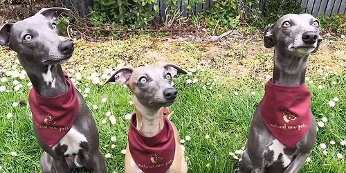 Christmas party shenanigans at both shops!!🎉🤩