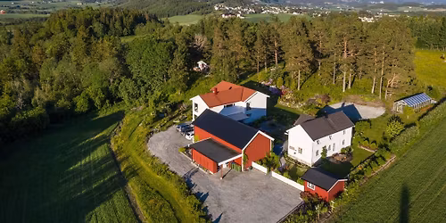 Plantemarked Midt-Norge