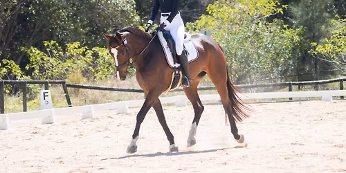 CDHC November Dressage Competition