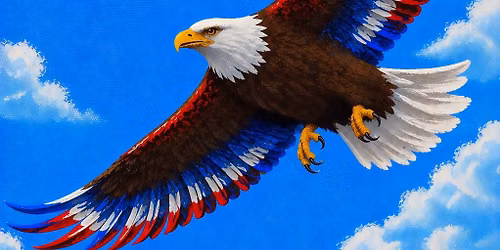 Freedom in Flight