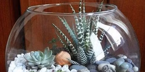 Succulent Terrarium Workshop