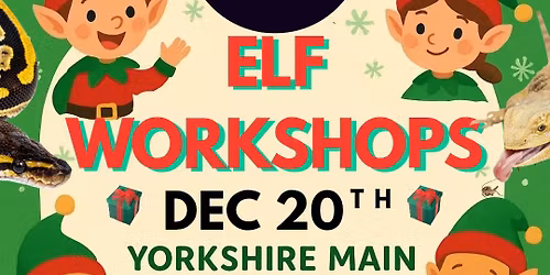 Christmas Elf Show 2025 