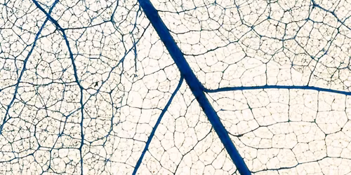 r\u00f8rsle og ro: adventkonsert med Volve Vokal