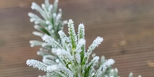 November 2025 - Saturday Scrapstore