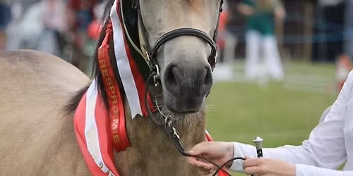 Horsens Dyrskue 2026