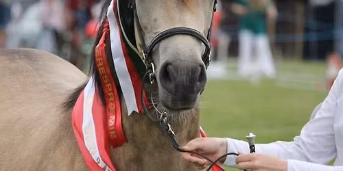 Horsens Dyrskue 2026