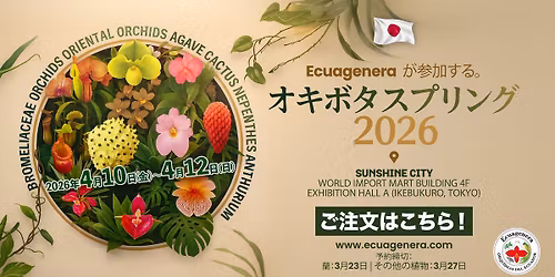 Ecuagenera\u306f\u300cOkibota Spring 2026\u300d\u306b\u53c2\u52a0\u3057\u307e\u3059\u3002