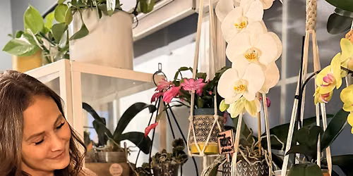 Orchid Repotting Class