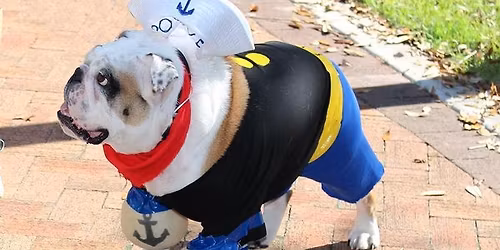 Sarasota DOG-A-WEEN COSTUME Contest
