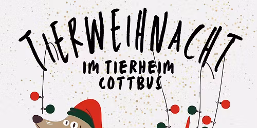 TIERWEIHNACHT \u2728 2025