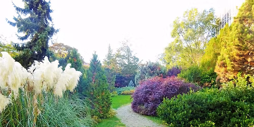 Bud\u00e1n j\u00e1r az \u0151sz