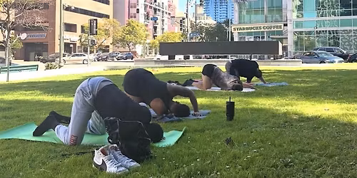 Park Yoga