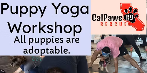 Yoga with Puppies 