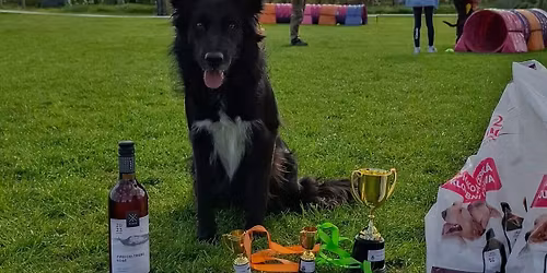 Jarn\u00ed tuneli\u00e1da Lu\u017eice 