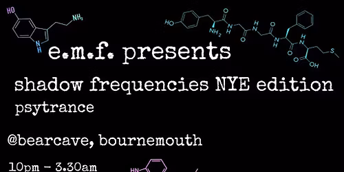 E.M.F. - Psytrance \/\/ NYE 2025