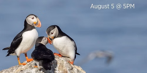Wednesday Night Lecture Series: Project Puffin w\/ Steve Kress