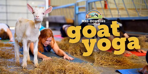 Goat Yoga
