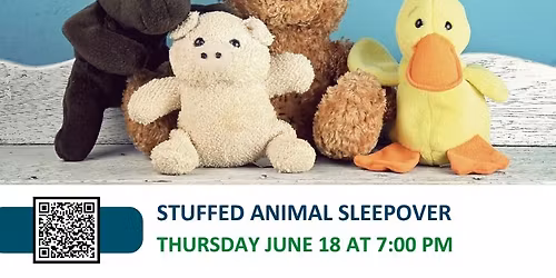Stuffed Animal Sleepover