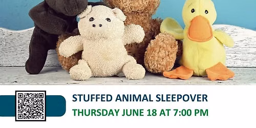 Stuffed Animal Sleepover