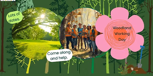 Woodland Working Day- Woods next to Whinmoor Cemetery