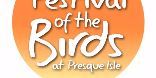 Festival of the Birds