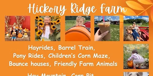 Fall festival and you-pick Pumpkim Patch