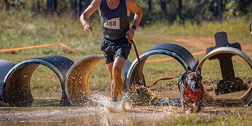Midwest Canine Obstacle Run 