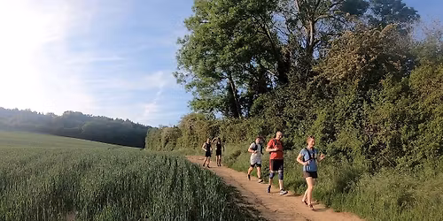 Surrey Hills Half Marathon