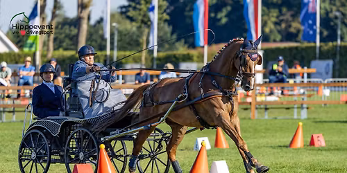 Driving Derby and Lessons with Maddie 