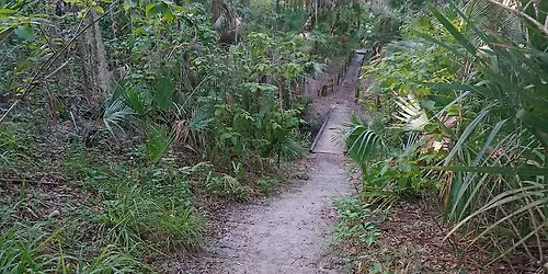 Enchanted Forest Sanctuary - Run 