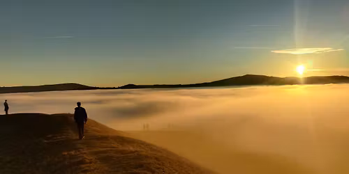 P600 does the Choc-O... in the dark!