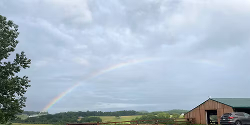 A Day at the Stables