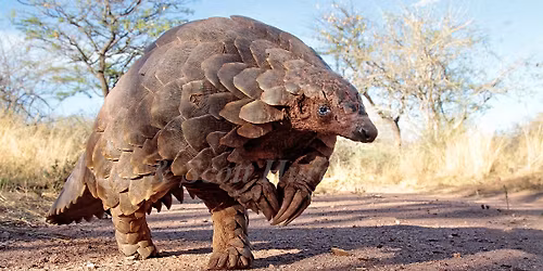 Living and Working as a Photographer in Namibia by Scott Hurd