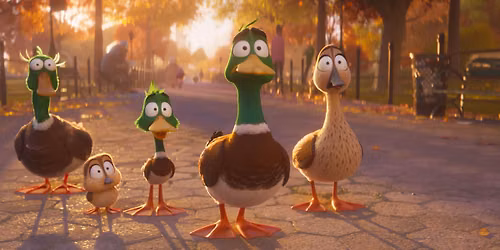 Gratis kinderfilm: Vogelvlucht