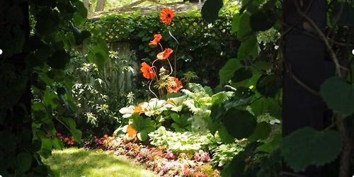 OHNA Garden Tour