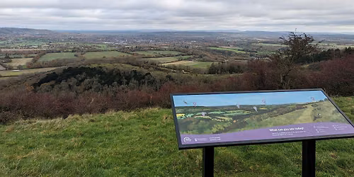 Guided Downland Walk